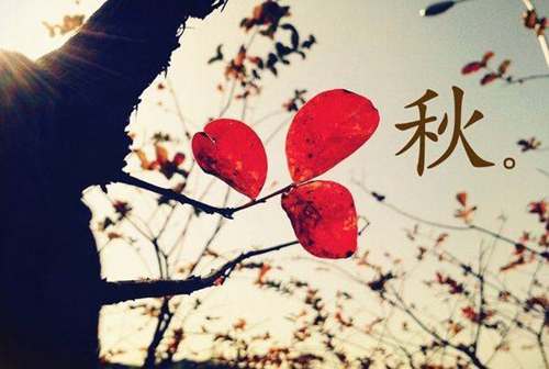 教師節(jié)祝福老師的歌曲有哪些