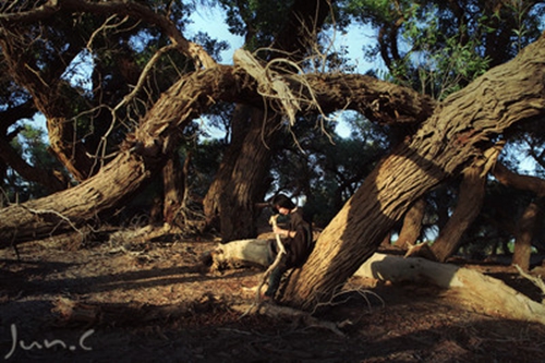 女孩子取名適合用哪些字射手座