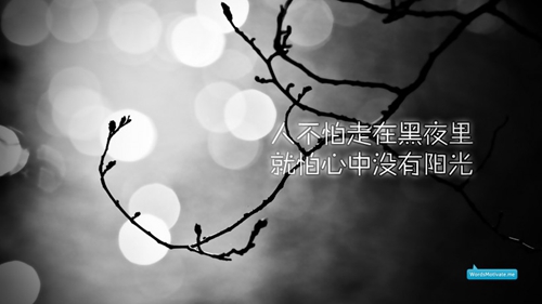 男孩的名字取什么好聽屬虎 男孩的名字取什么好聽屬虎