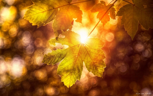 空字女孩起名字寓意好嗎