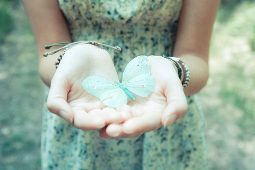 給客人的早安語 給客人的早安語